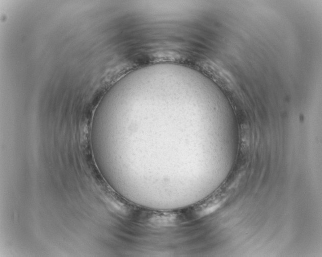 X0000088170369200706051122