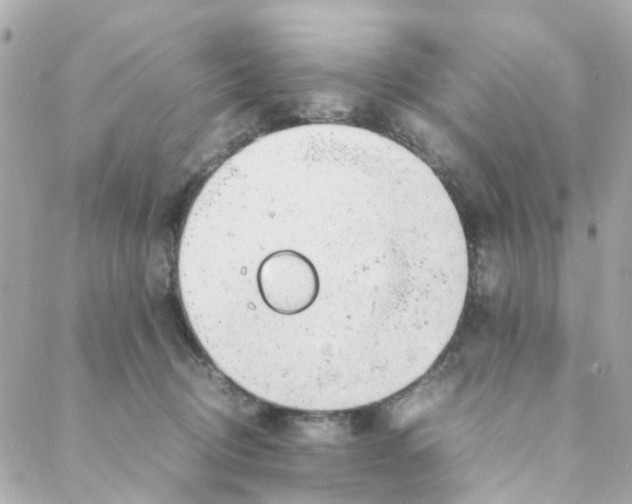 X0000088170370200706051122