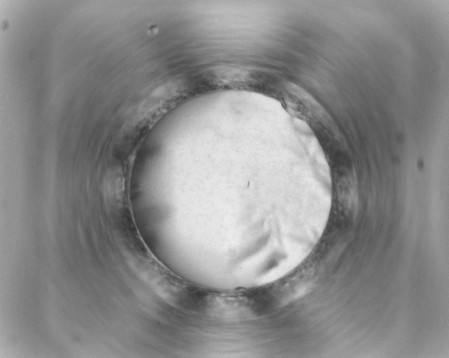 X0000088170372200706051122