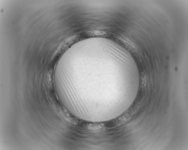 X0000088170373200706051122