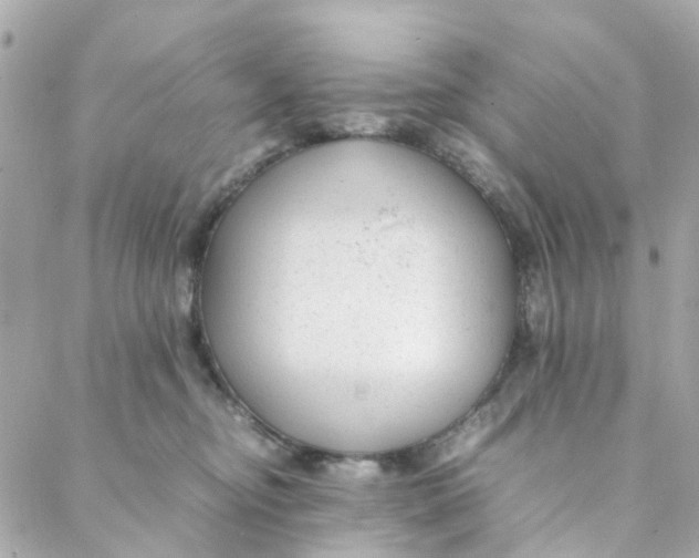 X0000088170374200706051122