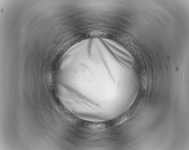 X0000088170375200706051122