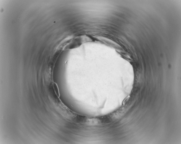 X0000088170376200706051122