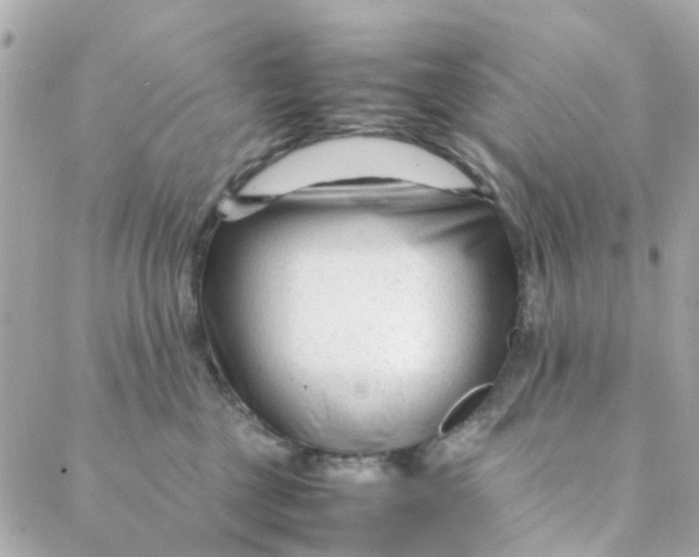 X0000088170377200706051122