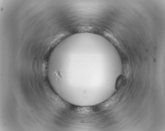 X0000088170378200706051122