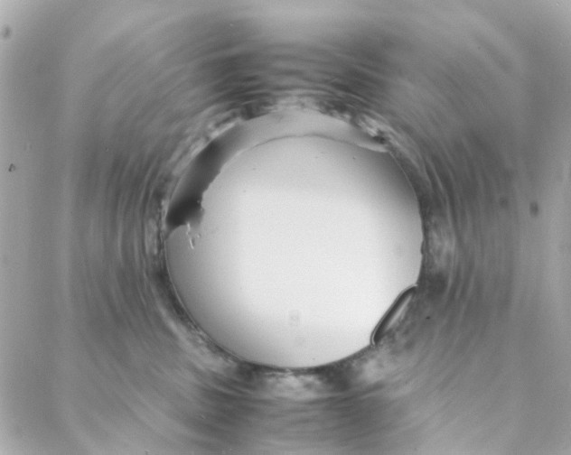 X0000088170379200706051123