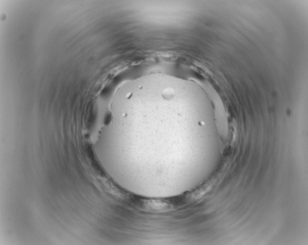 X0000088170380200706051123