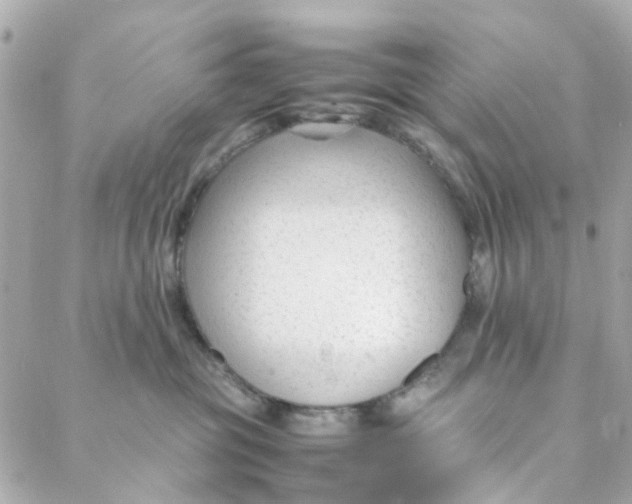 X0000088170381200706051123