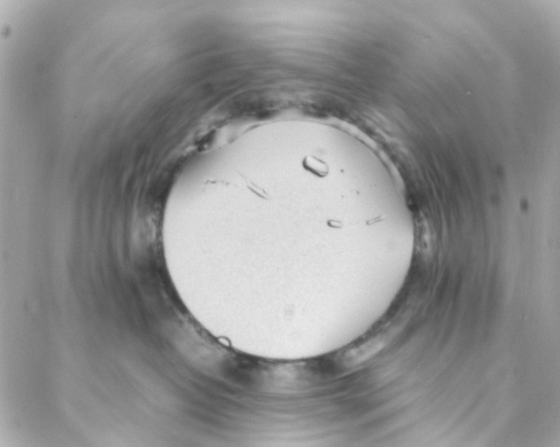 X0000088170382200706051123