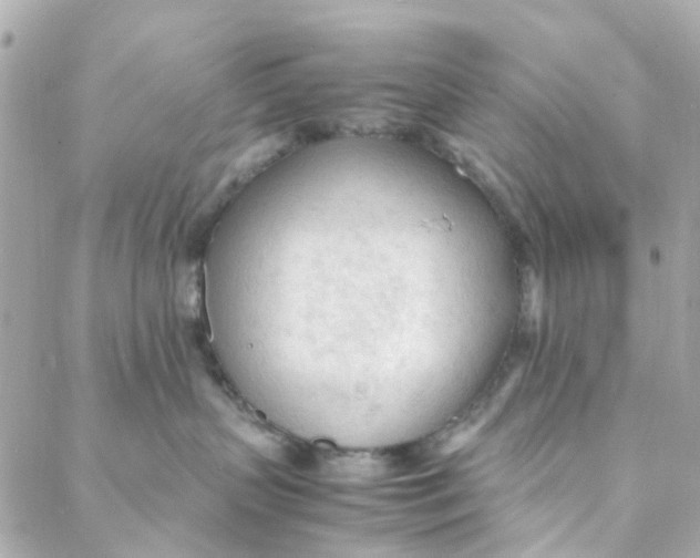 X0000088170383200706051123