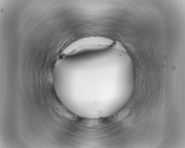 X0000088170384200706051123