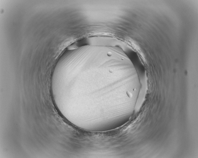 X0000088170385200706051122