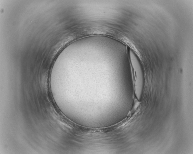 X0000088170386200706051122