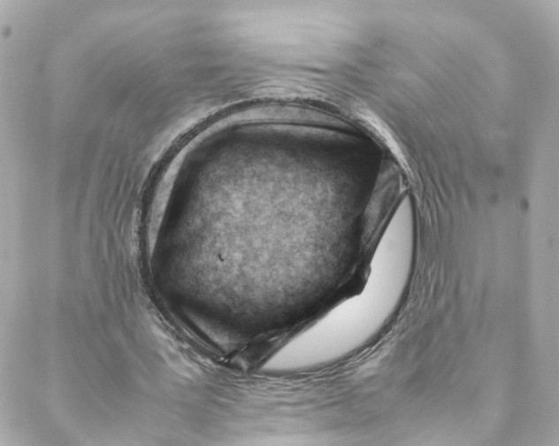 X0000088170387200706051122