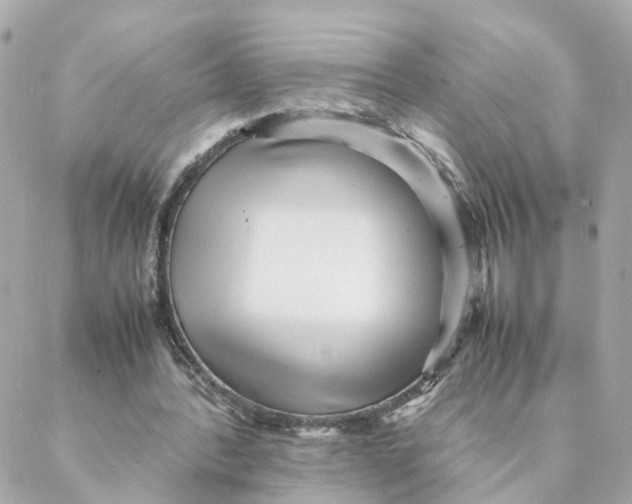 X0000088170388200706051122