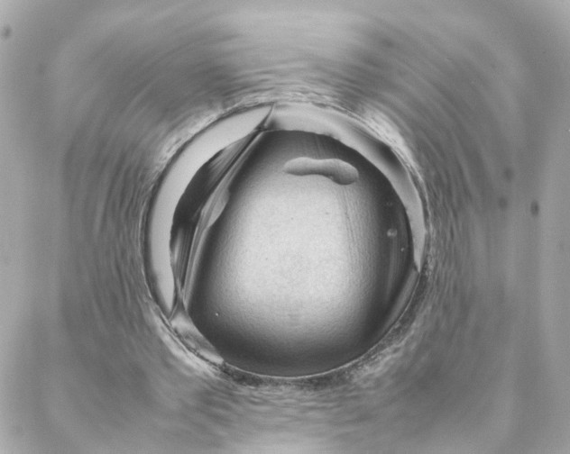 X0000088170389200706051122