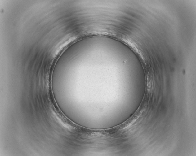 X0000088170390200706051122