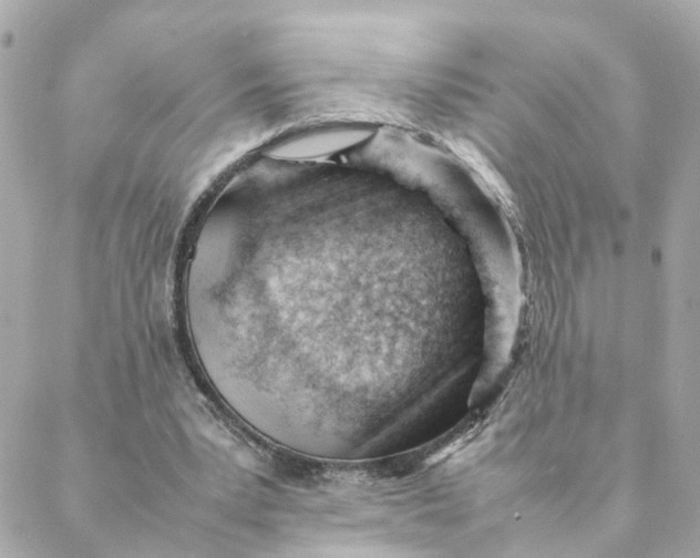 X0000088170391200706051122