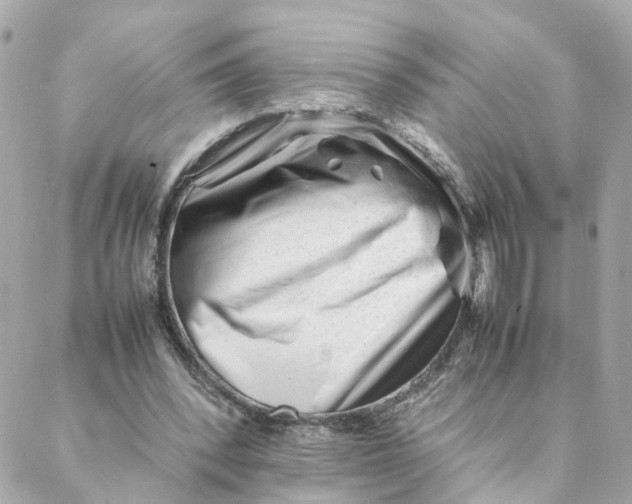 X0000088170392200706051122