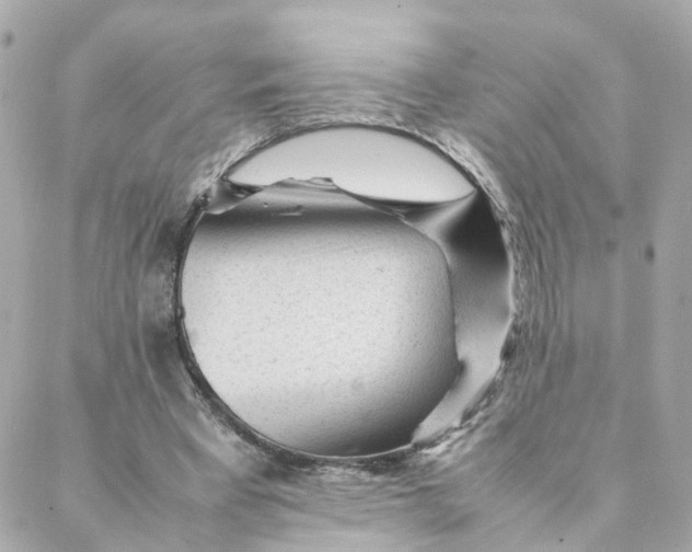 X0000088170393200706051122