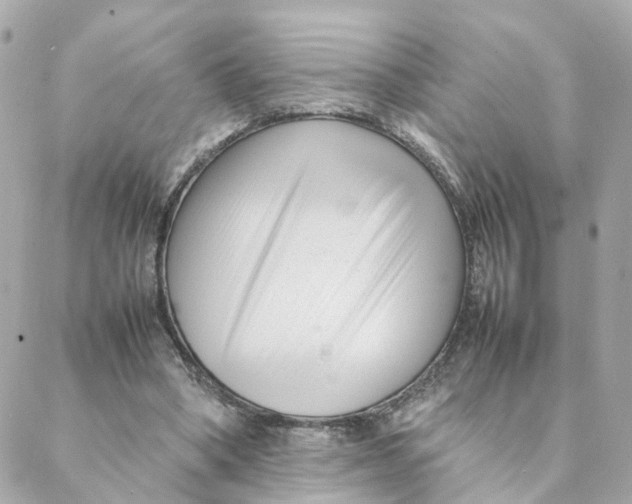 X0000088170394200706051122