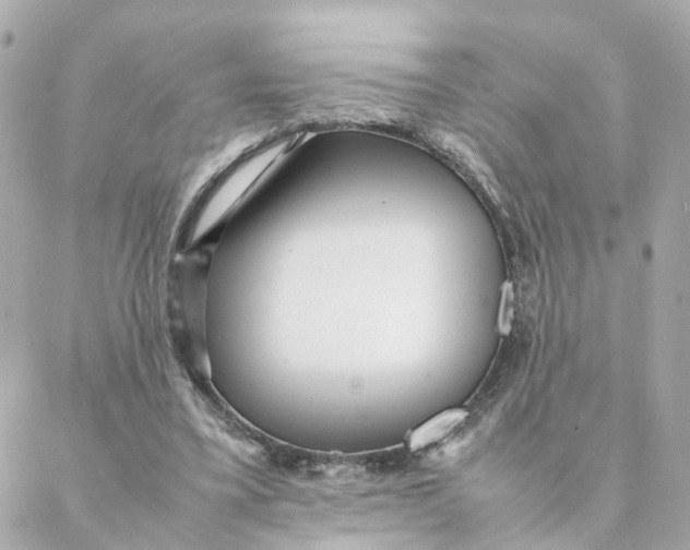 X0000088170395200706051122