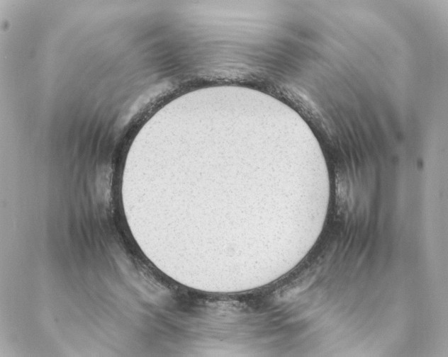 X0000088170396200706051122