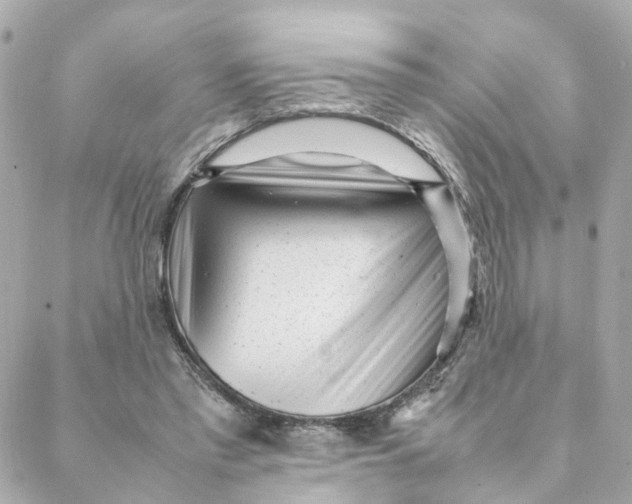 X0000088170397200706051122