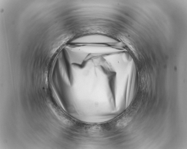 X0000088170398200706051122