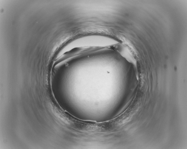 X0000088170399200706051122