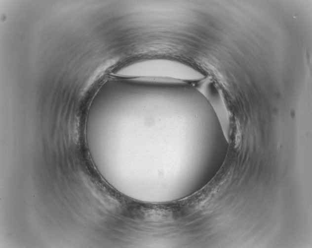 X0000088170400200706051122