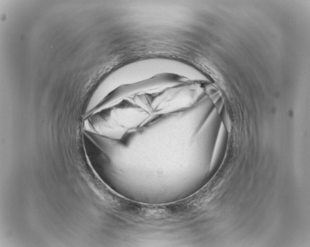 X0000088170401200706051122