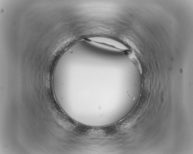 X0000088170403200706051122