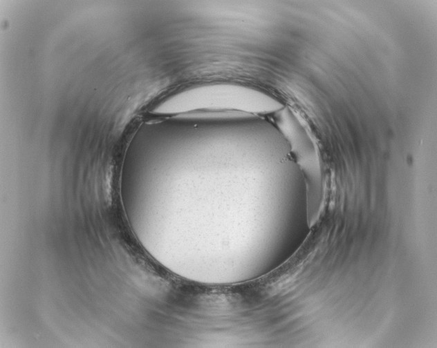 X0000088170404200706051121