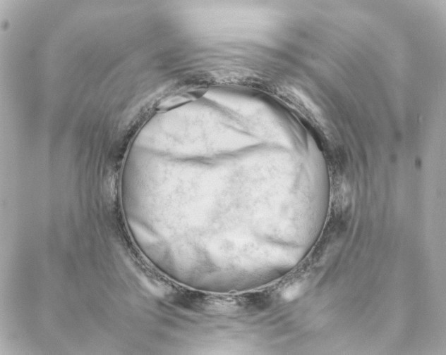 X0000088170405200706051121