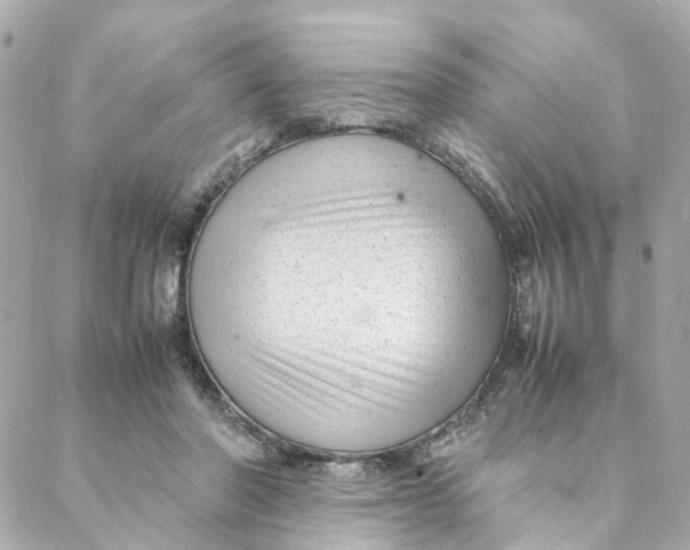 X0000088170406200706051121