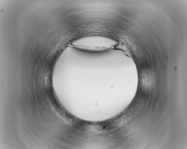 X0000088170408200706051121