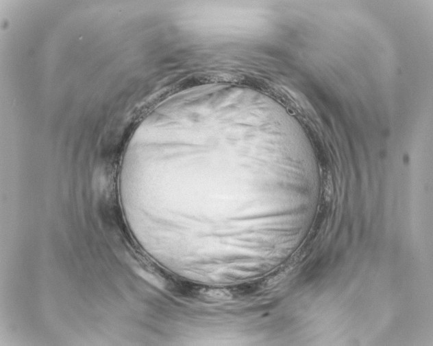 X0000088170409200706051121