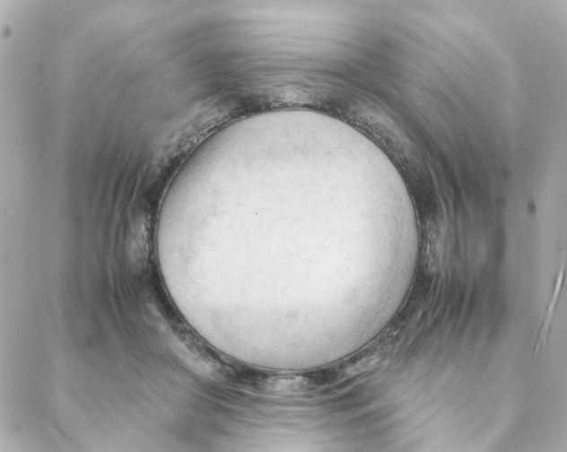 X0000088170410200706051121