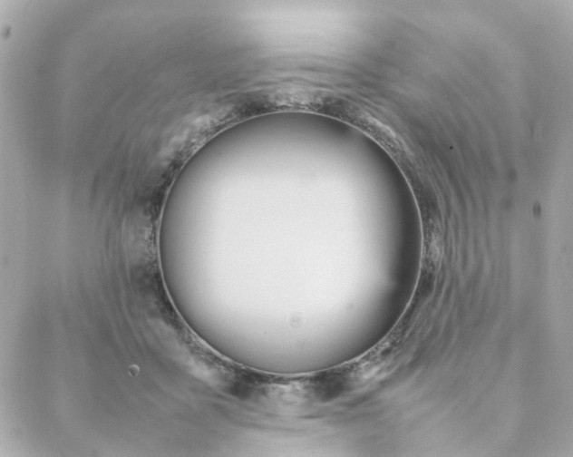 X0000088170411200706051121