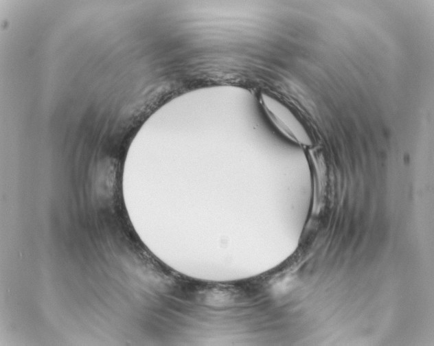 X0000088170412200706051121