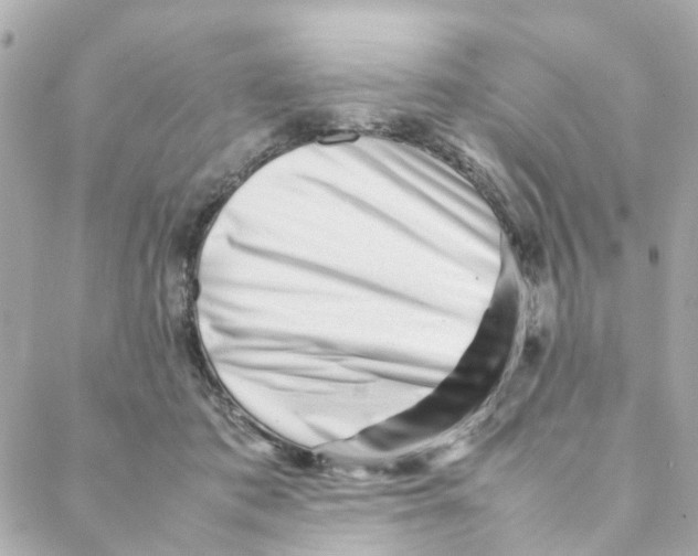 X0000088170413200706051121