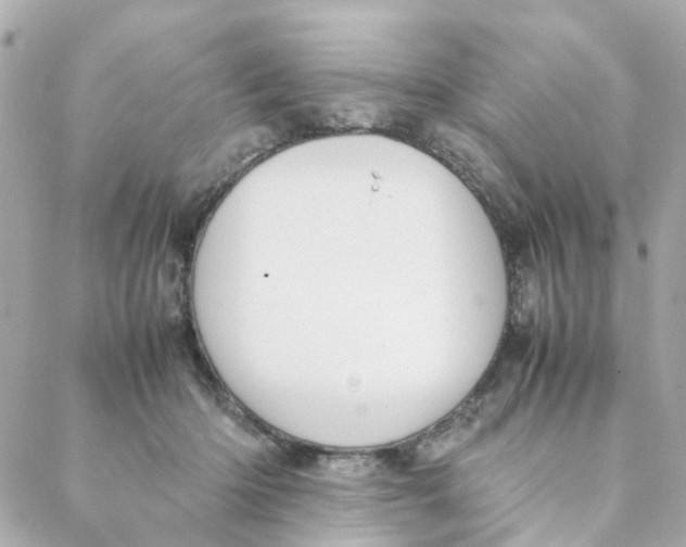 X0000088170414200706051121