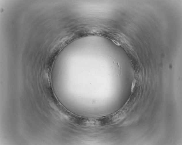 X0000088170415200706051121