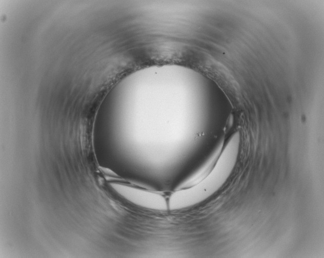 X0000088170416200706051121