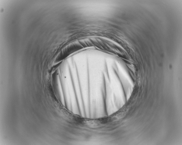 X0000088170417200706051121