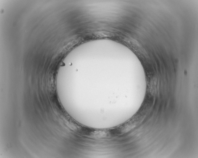 X0000088170418200706051121