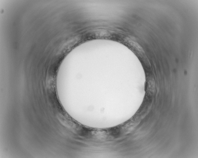 X0000088170419200706051121