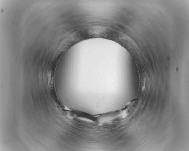 X0000088170420200706051121