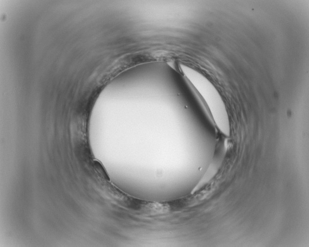 X0000088170421200706051121